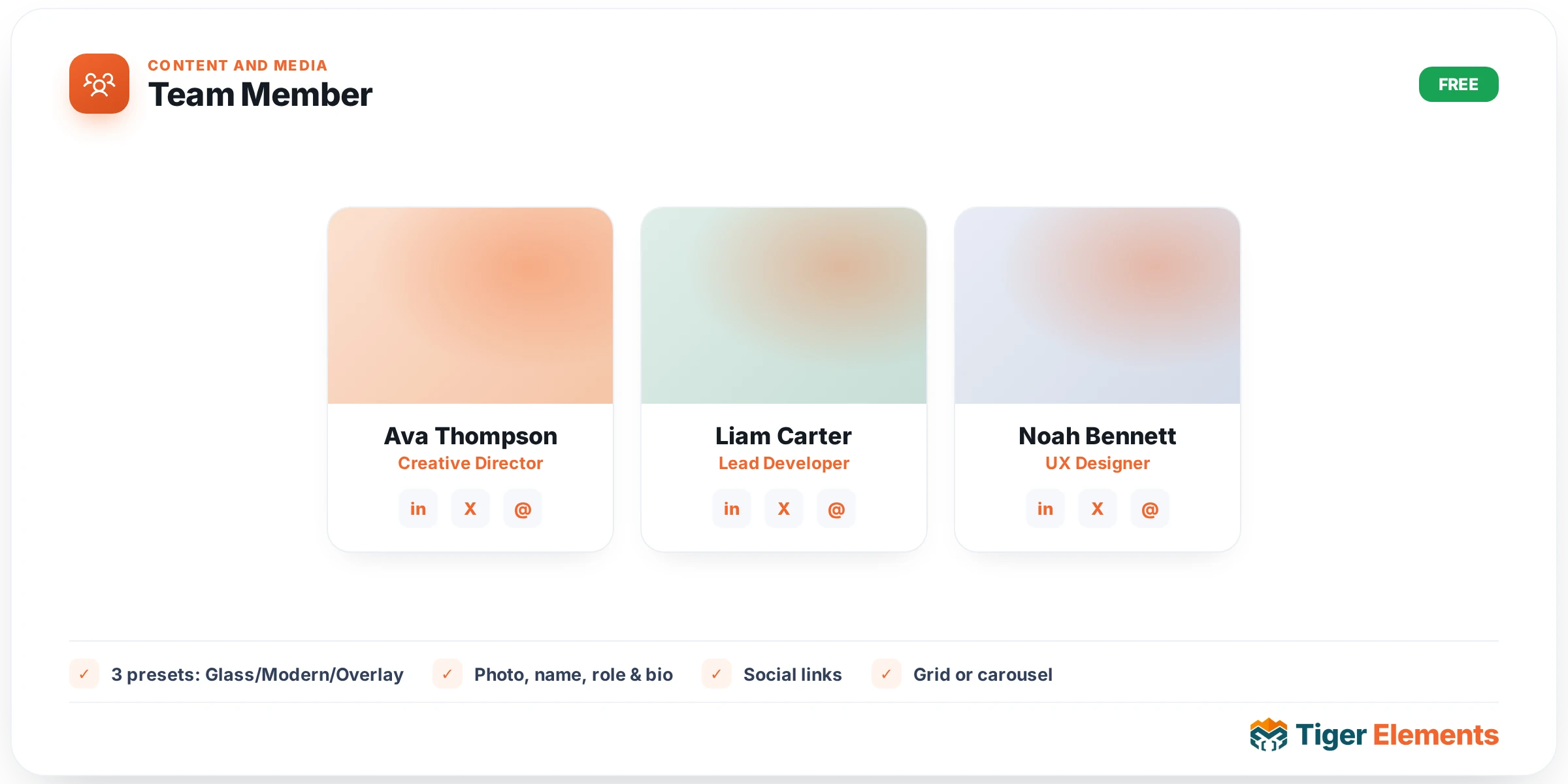 Team Member — features & options