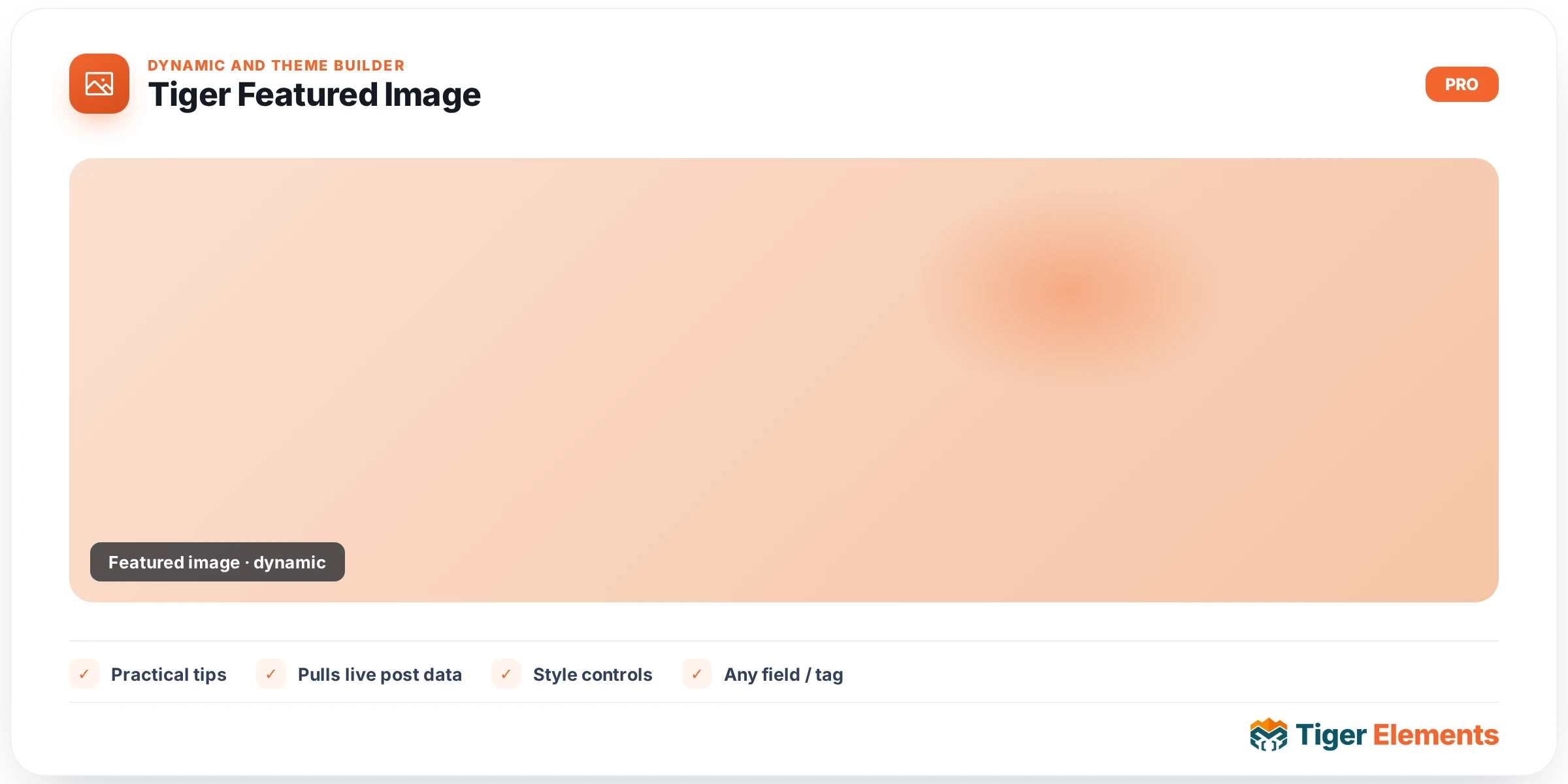 Tiger Featured Image — features & options